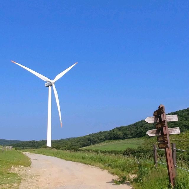 평창 3대 양떼목장, 하늘목장