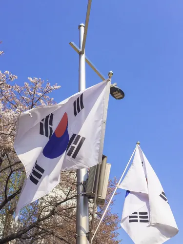 🌸 벛꽃나라 “온천천” 🌸
