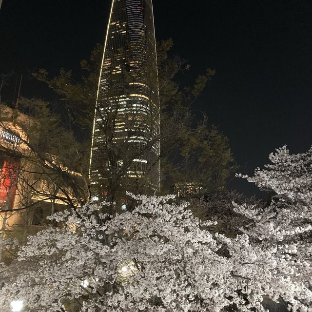 벚꽃 명소 [롯데월드]