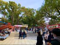 京都　SAKURA 桜めぐり❗️八坂神社の桜に感動❗️