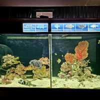 Phuket aquarium