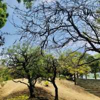 超大綠地公園🟢設計壯觀場面📍高雄中央公園站