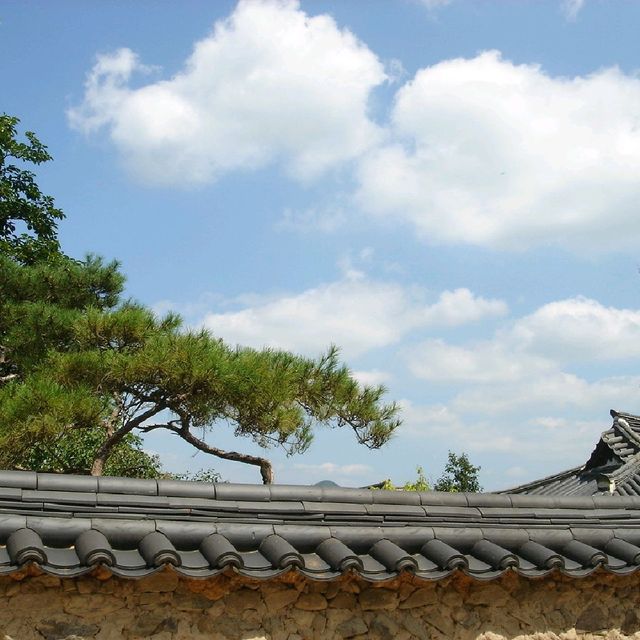 안동하회마을 봄여행