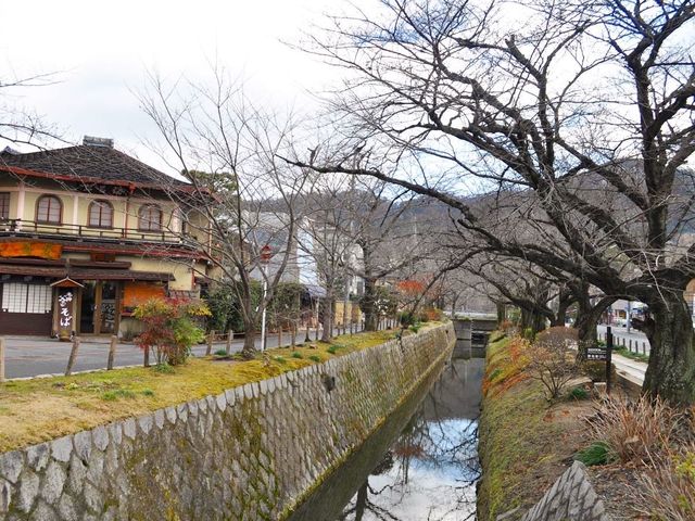 京都出名哲學之道