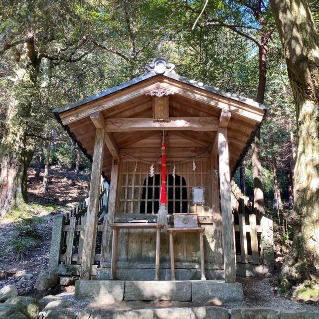 【滋賀県】近江最古の大社でパワーチャージ⛩