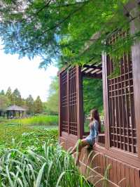 입장료 무료🌿사계절 내내 볼거리 가득한 [전주수목원]
