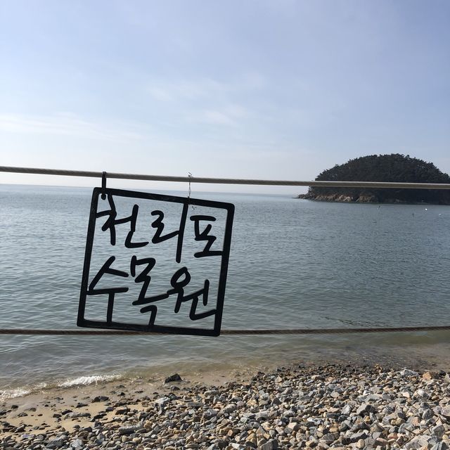 친구랑 다녀온 태안 천리포 수목원 