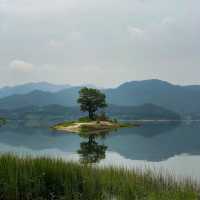 대청호 오백리길 운치있는 산책길🌳