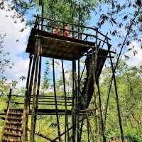Greenary day out @ Bamboo Garden