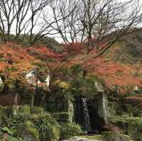 🇯🇵 參觀戰國名將的邸宅 — 岐阜公園及百曲登山道