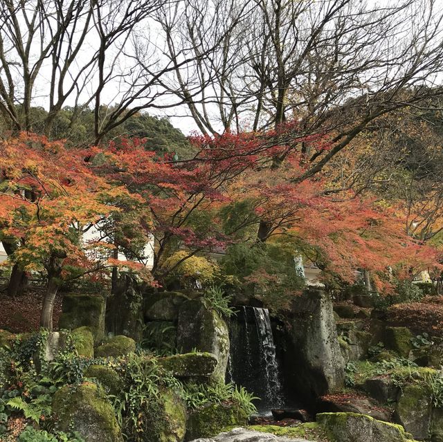 🇯🇵 參觀戰國名將的邸宅 — 岐阜公園及百曲登山道