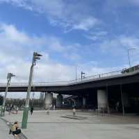 【横浜】スケボー広場でスポーツの秋