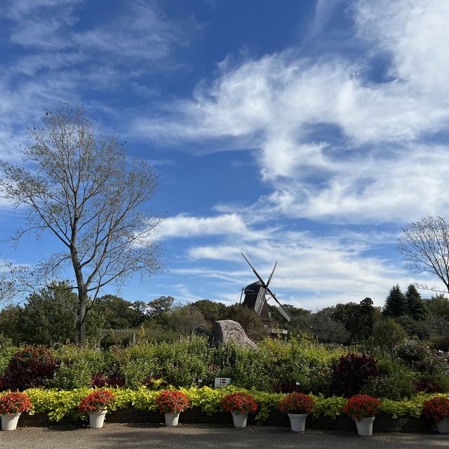 秋のアンデンセン公園ーとてもハロウィン！😂