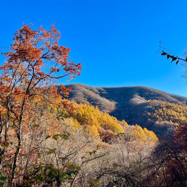 지리산 단풍 중산리 - 천왕봉 단풍 진짜 이뻐요 ♥ 
