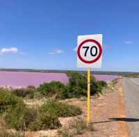 Hutt Lagoon Pink Lake @ Port Gregory 