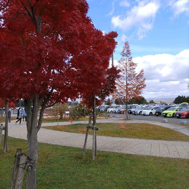 岩手県！花巻空港の紹介～秋～