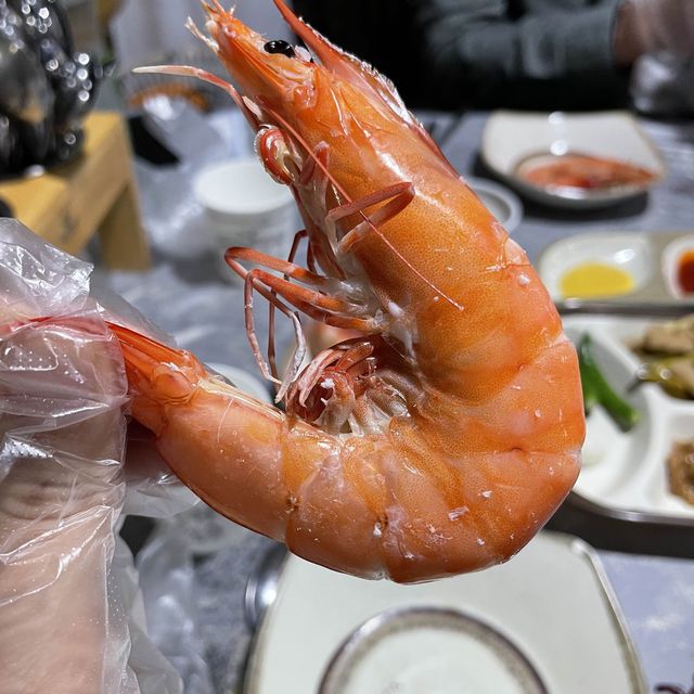 가을엔 고성에서 새우구이! 둘리새우🦐