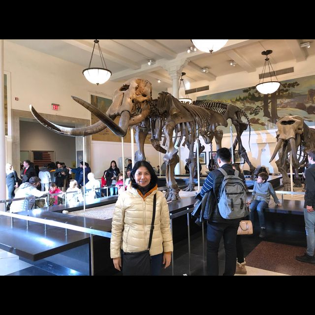 มาเที่ยว American Museum of Natural History ค่ะ