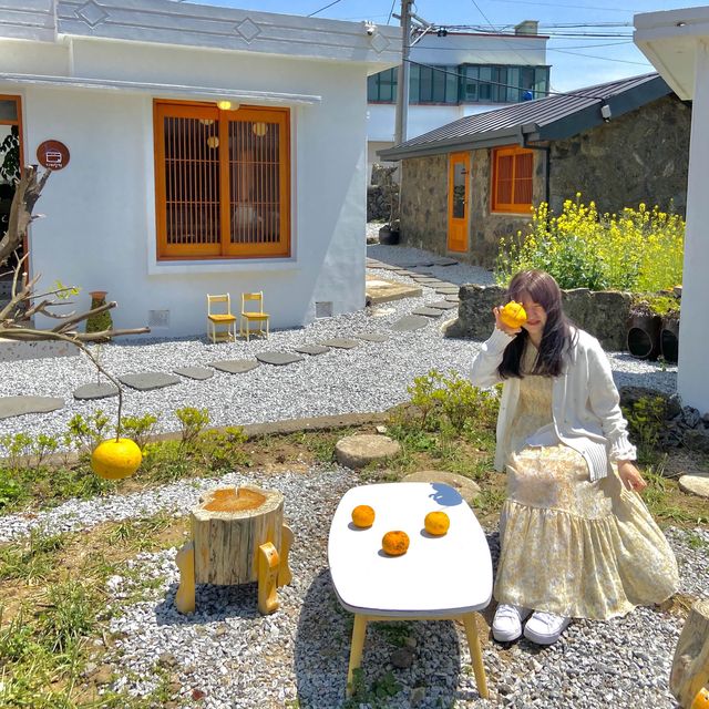 제주 분위기 뿜뿜한 애월 카페달력🍊🗓️
