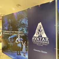 Avatar Cloud Forest launch