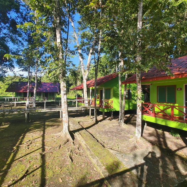 Stay near to forest, Eat near to River