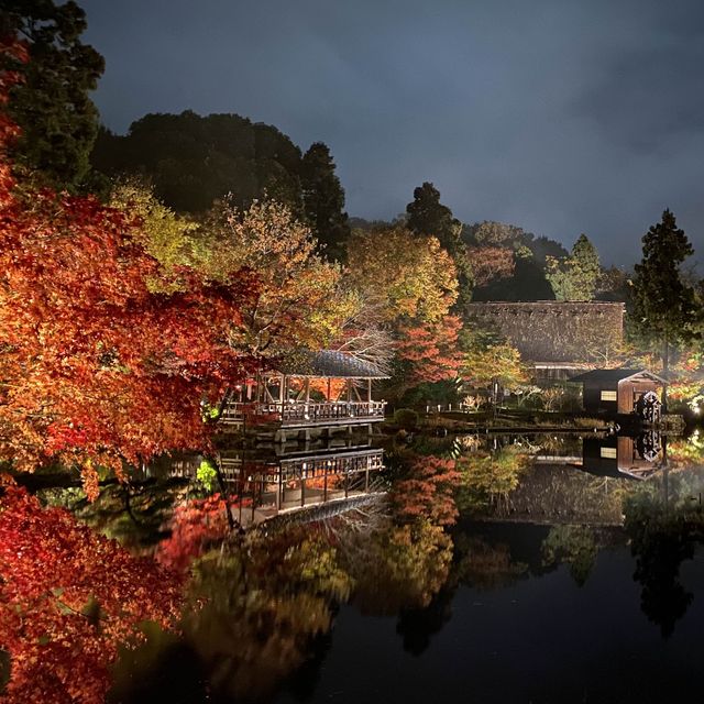 日本 最美的還是風景🍁🌼🗻