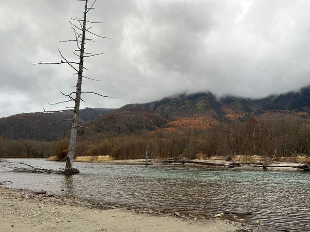 上高地⛰️日本阿爾卑斯上的絕色美景