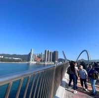 熙來攘往的跨灣大橋