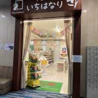 溫泉酒店 #沖縄冬天玩咩好 #沖繩親子酒店 #無敵海景 #農場小動物 #打卡必到