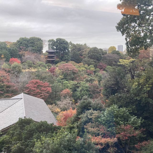 【東京】ホテル椿山荘の見応えある庭園