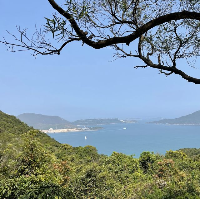 海景大電視打卡位