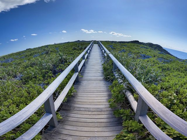 【沖縄・宮古島】通り池