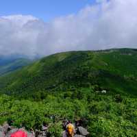夏の蓼科山
