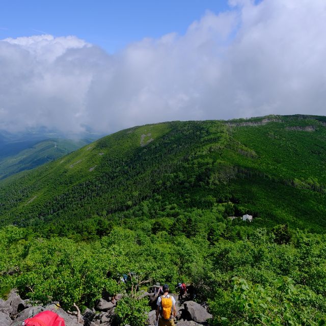 夏の蓼科山