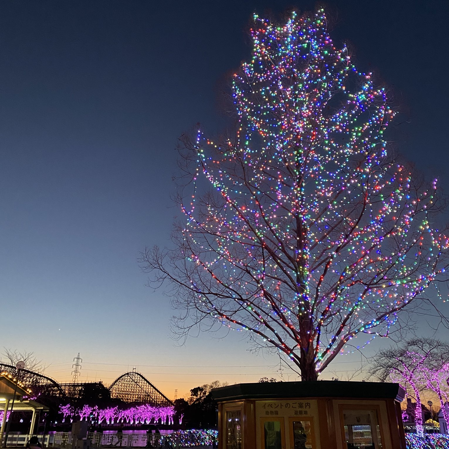東武動物公園 イルミネーション Trip Com 東京の旅のブログ