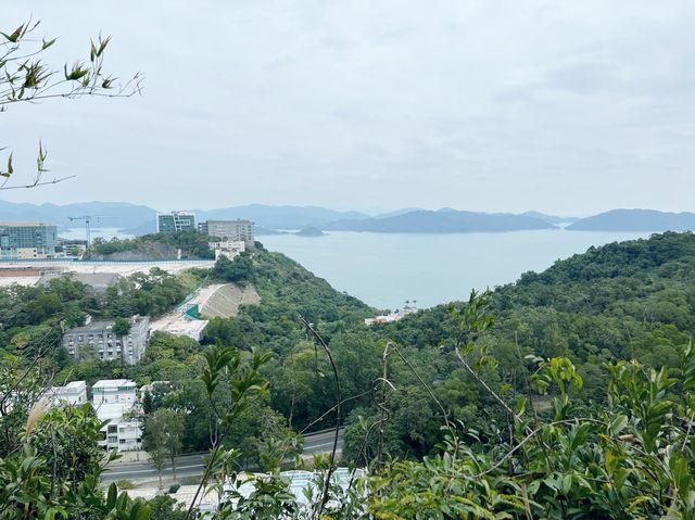 行山新手輕鬆之選 - 坑口至西貢靚景路線分享