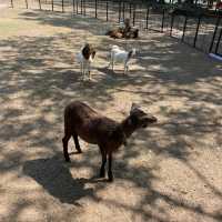 台南人小時候必去的動物園