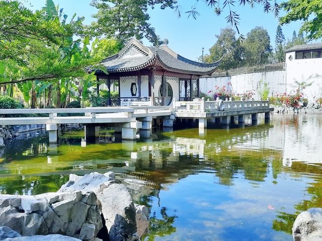九龍城寨公園賞花好去處