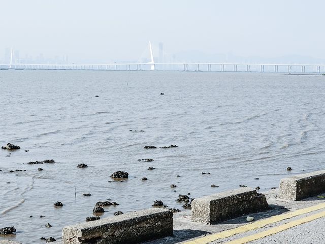 最美海景 下白泥