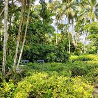 Istana Park - a small city park in Orchard