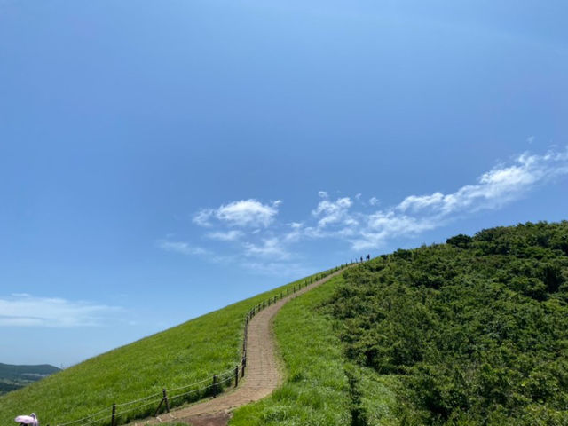 바다가 보이는 제주도 오름, 새별오름에서 인생샷 📸