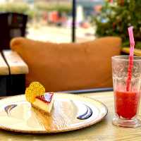 Antalya City Tour with BTS Travel Agency