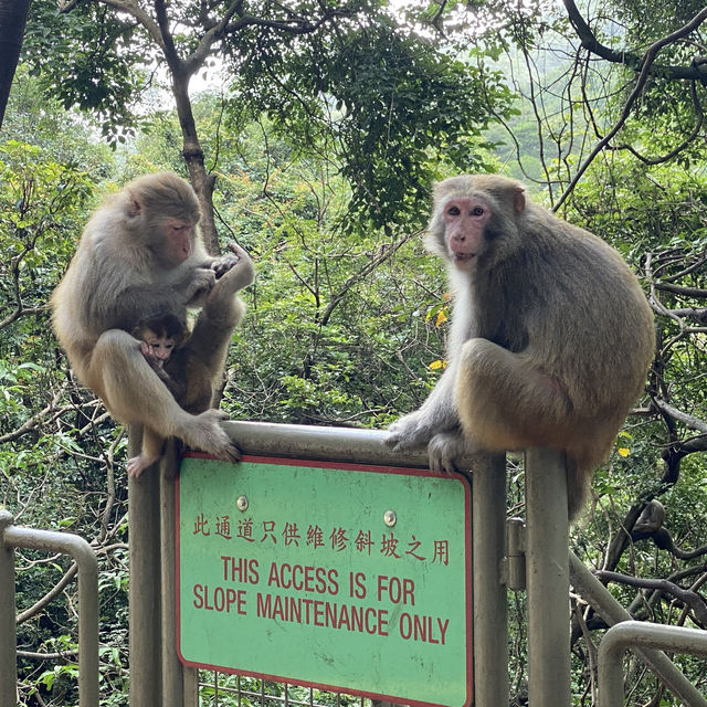 親親大自然⛰毫不費力之選～