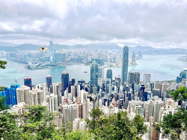 港島徑一至二段