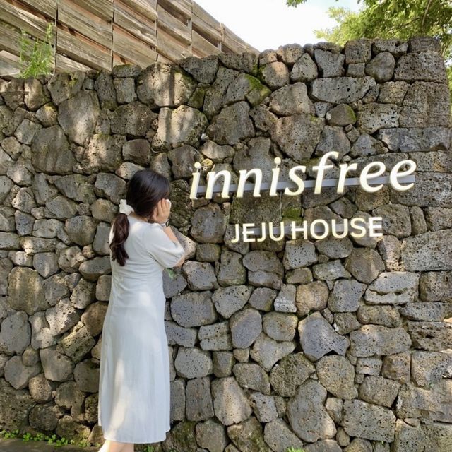 제주_ 오설록 티뮤지엄 