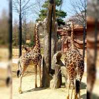 South Korea Largest Theme Park!
