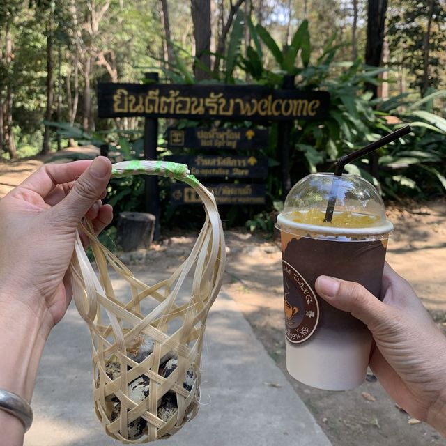 เที่ยวน้ำพุร้อนท่าปาย ต้มไข่ออนเซนกินกัน