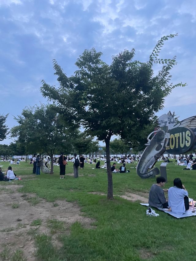 마음이 편안해지는 여의도 한강공원 🏞