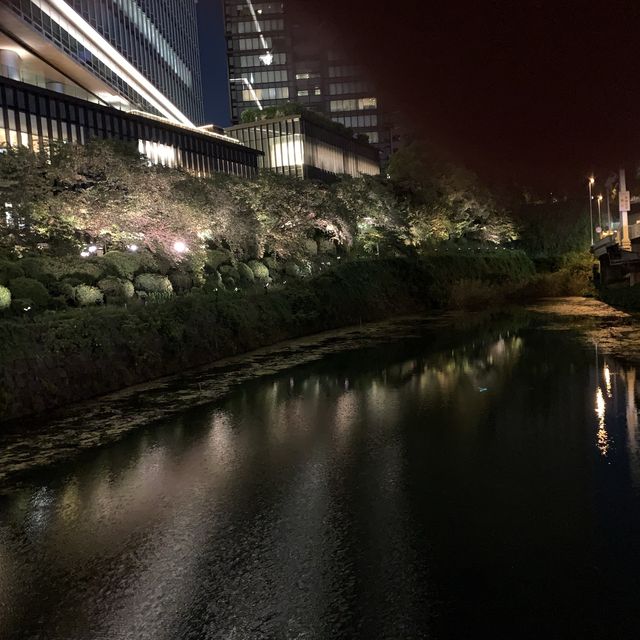 弁慶堀と東京ガーデンテラスのライトアップ🌃