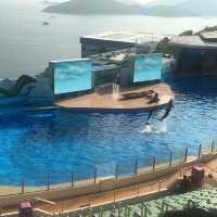 海洋公園生日慢遊